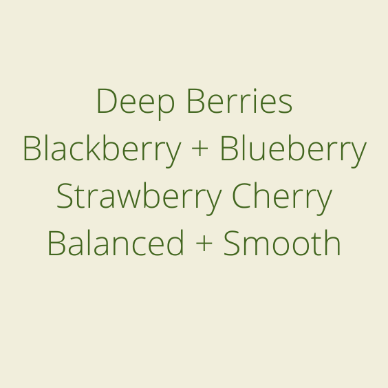 LA JOYA [2022] Forward Specialty Green Coffee Traders