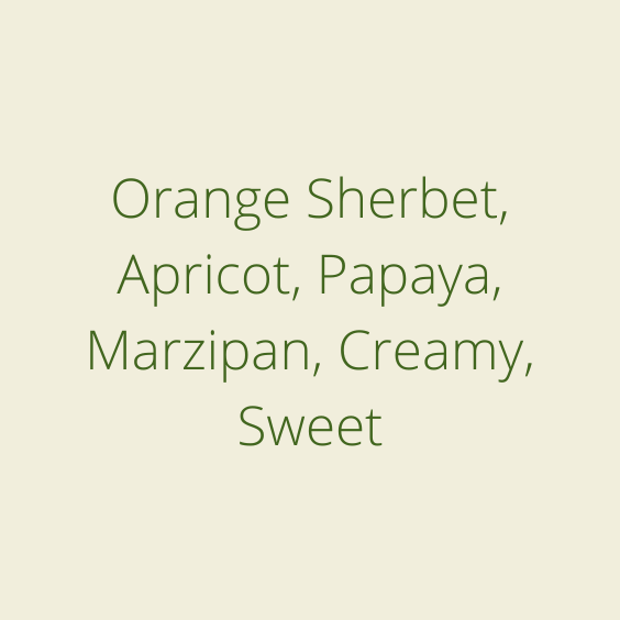 LA PAPAYA 1kg @ $42/kg