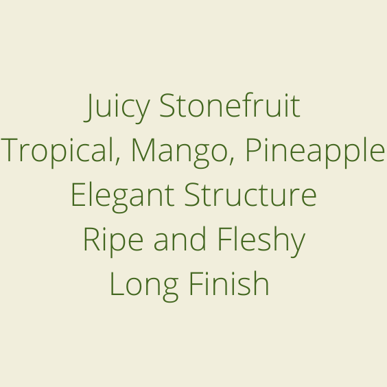 FINCA DEBORAH 1kg @ $242/kg