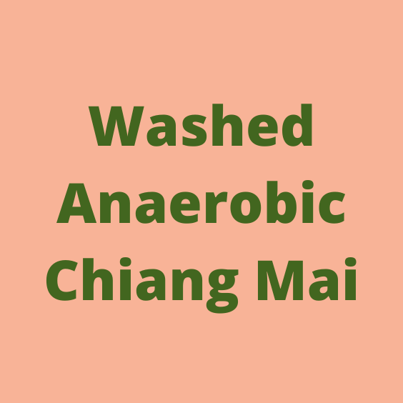 MAE CHEDI [2021]